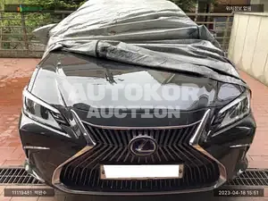 2020, Lexus / ES 300, VIN: JTHBA1C15M2001461, hybrid