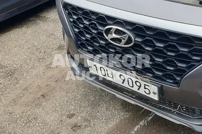 2019, Hyundai / Santa FE, VIN: KMHS281BDKU006873, diesel
