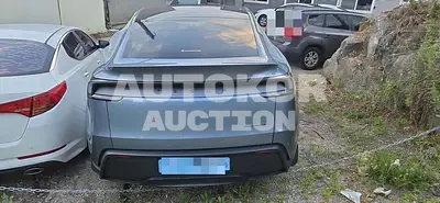 2026, Tesla / Model Y, 500 км., electric