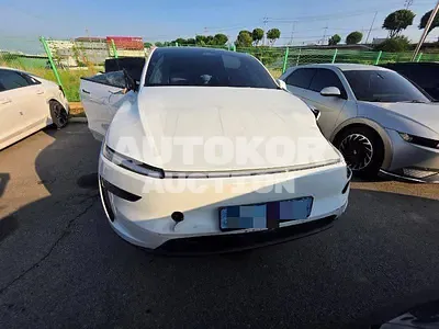 2025, Tesla / Model Y, electric