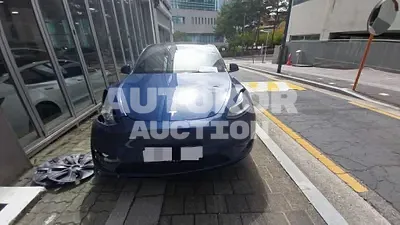 2024, Tesla / Model Y, 29983 км., electric