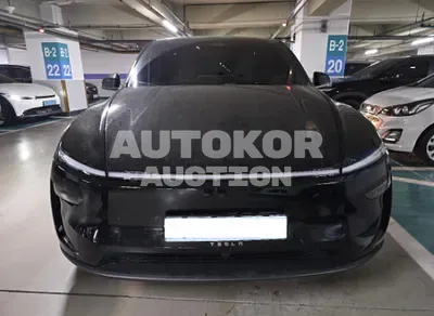2025, Tesla / Model Y, 11564 км., electric