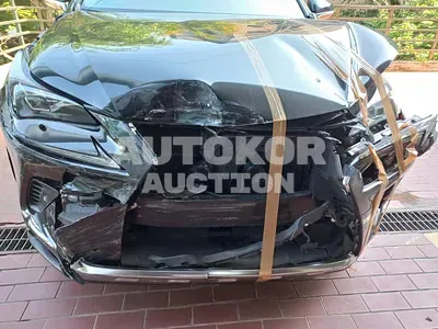 2017, Lexus / NX 300, 125343 км., hybrid, 2494 куб.см.