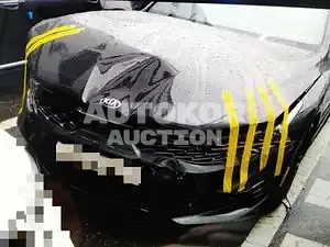 2020, Kia / K5, VIN: KNAG6412BLA050738, 32531 км., gas