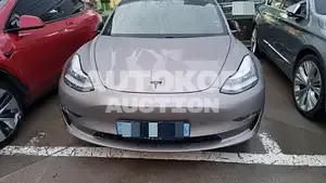 2020, Tesla / Model 3, VIN: 5YJ3E1EB1LF694797, 63088 км., electric
