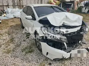 2018, BMW / Z1, VIN: KNAFK412BJA793642, 75757 км., gas