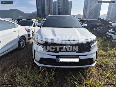 2020, Kia / Sorento, VIN: KNARF81BGMA008355, 76051 км., diesel, 2151 куб.см.