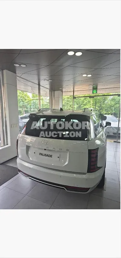 2025, Hyundai / Palisade, VIN: KMHRK811BSU009293, 30 км., gas