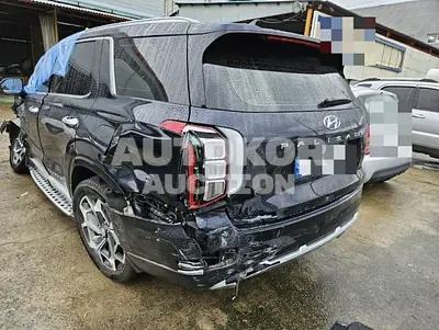 2020, Hyundai / Palisade, VIN: KMHR581ABMU245308, diesel, 2200 куб.см.
