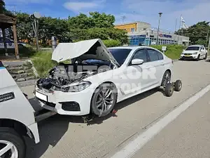 2019, BMW / 520, VIN: WBAJF3105KWW22027, diesel
