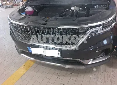 2023, Kia / Carnival, VIN: KNANE81BBPS219167, 2313 км., diesel