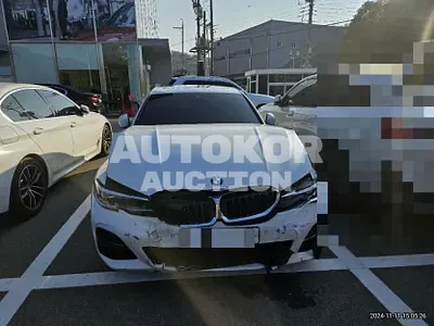 2019, BMW / 320, gas