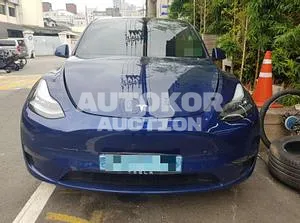 2021, Tesla / Model Y, VIN: 5YJYGDEE0MF167198, electric, 236 куб.см.