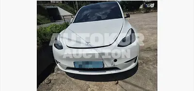 2022, Tesla / Model Y, 60000 км., electric, 236 куб.см.