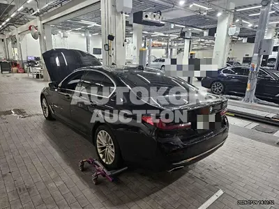 2022, BMW / 520, 81630 км., gas