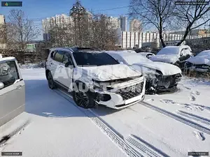 2019, Hyundai / Santa FE, VIN: KMHS381ABKU177949, 37968 км., gas