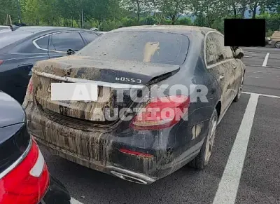 2018, Mercedes-Benz / E 220, VIN: WDDZF0FB2JA473186, diesel