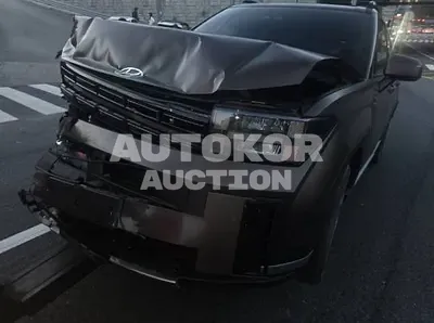 2024, Hyundai / Santa FE, gas, 2497 куб.см.