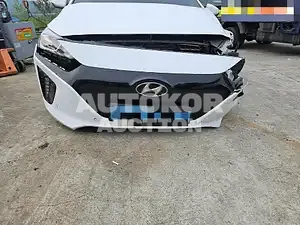 2019, Hyundai / Ioniq, electric