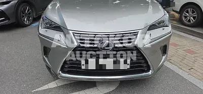 2020, Lexus / nx300h, 124033 км., hybrid, 2494 куб.см.