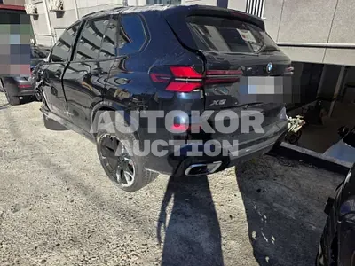 2026, BMW / X5, gas