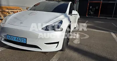 2024, Tesla / Model Y, VIN: LRWYGCFSXRC208016, 24596 км., electric