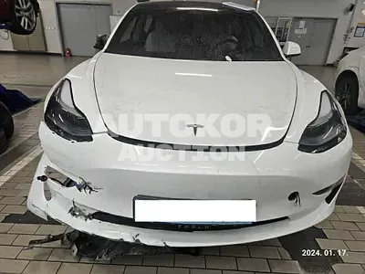 2021, Tesla / Model 3, VIN: 5YJ3E1EC3MF912121, 54122 км., electric