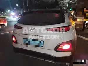 2019, Hyundai / Kona, VIN: KMHK381GFKU053926, 111111 км., electric