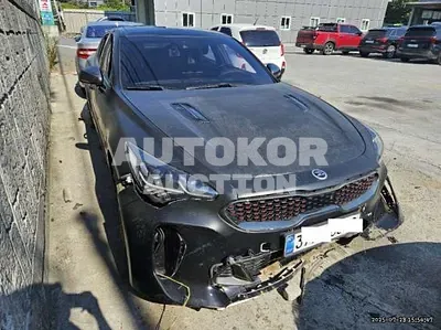 2019, Kia / Stinger, VIN: KNAE751CDKS055139, 102754 км., gas
