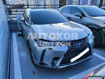 2019, Lexus / UX 250, VIN: JTHY6JBH2K2001652, 58163 км., hybrid