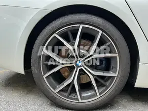 2022, BMW / 530, 8700 км., gas