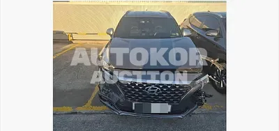 2019, Hyundai / Santa FE, 110527 км., diesel, 1995 куб.см.