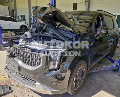 2024, Kia / Carnival, diesel