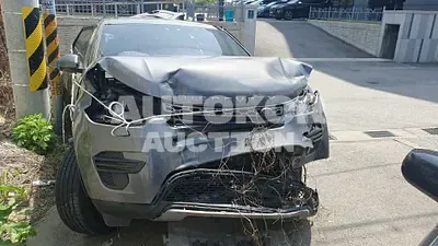 2018, Land Rover / Discovery Sport, VIN: SALCA2BN8JH764981, 65829 км., diesel