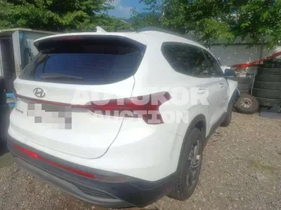 2020, Hyundai / Santa FE, 262952 км., diesel, 2200 куб.см.