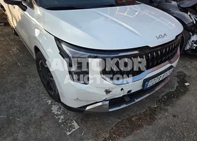 2025, Kia / Carnival, diesel, 2200 куб.см.