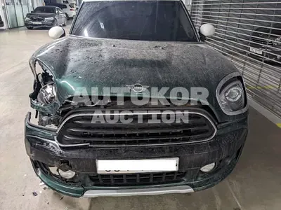 2019, MINI / Countryman, VIN: WMWYU9102K3H01702, 74200 км., gas