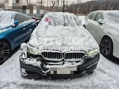 2019, BMW / 520, 102219 км., diesel