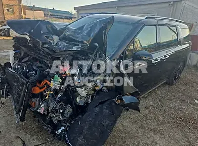 2025, Kia / Carnival, hybrid, 1600 куб.см.